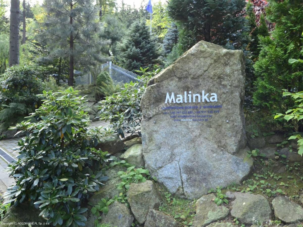 Villa Malinka 卡尔帕奇 外观 照片